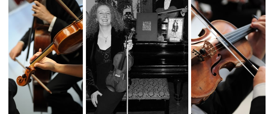 The Players – Experienced, professional musicians