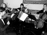 High quality String Quartet, Trio or Duo available. Listen